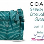 Giveaway: Zebra Crossbody Coach Bag!