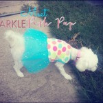 Hi, I’m Sparkle the Posh Pup!