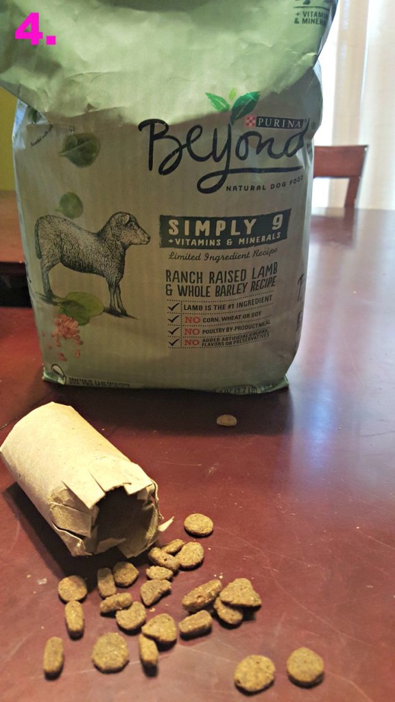 DIY Toilet Paper Roll Dog Toy