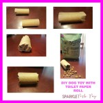 Spoiling Your Pup with DIY Toilet Paper Roll Dog Toys! #PetsLoveBeyond