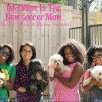 Why Dog Moms Need the 2016 Kia Sedona #DogMomIsTheNewSoccerMom #DriveKia