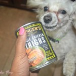 I’m OBSESSED with Evangers Dog Food!